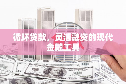 嫩江循环贷款，灵活融资的现代金融工具