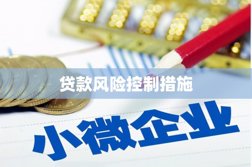 嫩江贷款风险控制措施