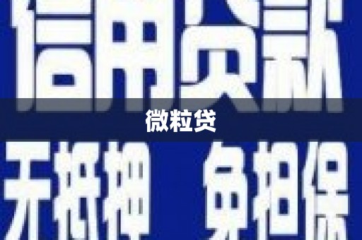 嫩江微粒贷