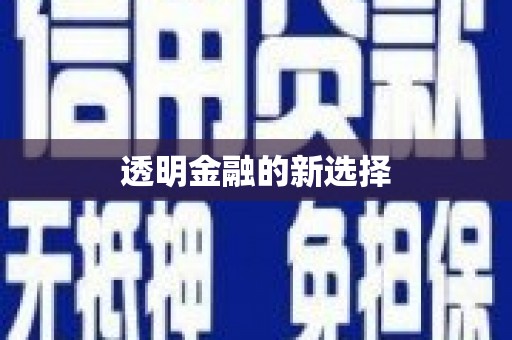 嫩江透明金融的新选择