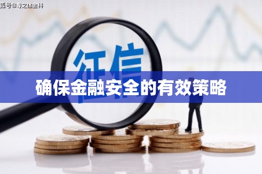 嫩江确保金融安全的有效策略